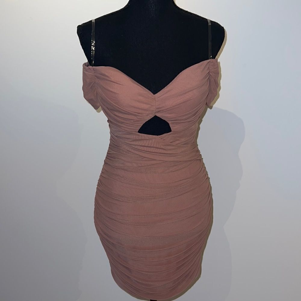 NWT Rose Bodycon dress